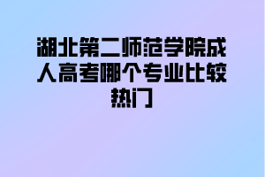 湖北第二师范学院成人高考哪个专业比较热门