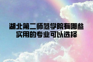 湖北第二师范学院有哪些实用的专业可以选择